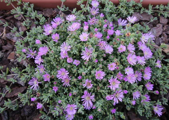 Imperador Hotel Lisboa